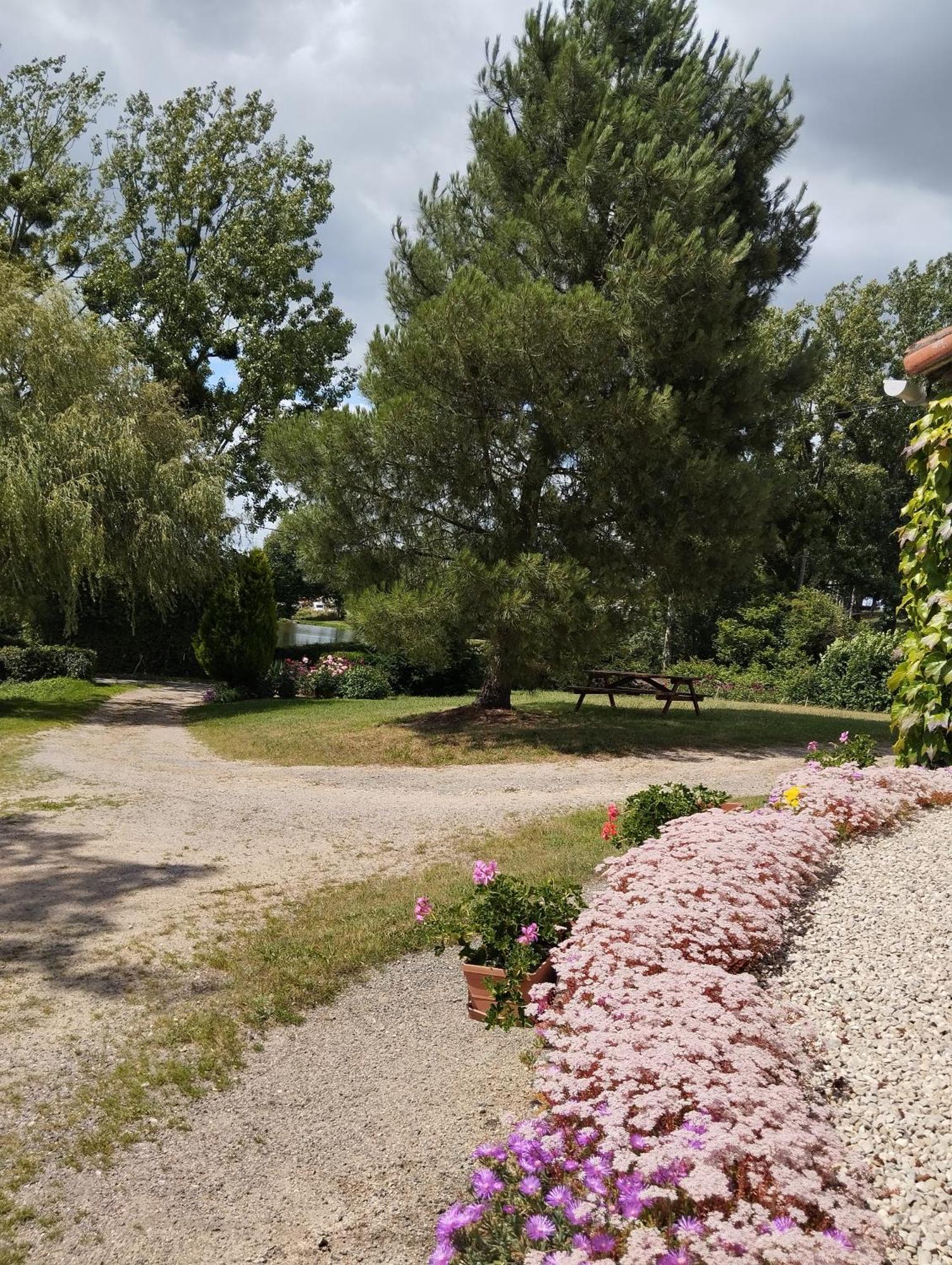 Maison Au Calme Avec Vue Etang Clesse  Zewnętrze zdjęcie